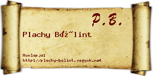 Plachy Bálint névjegykártya